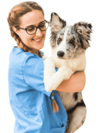 Professional Pet Grooming Services in Abu Dhabi