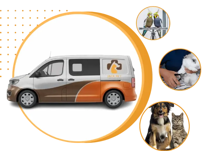 mobile pet grooming